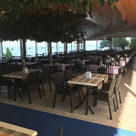 Muz 2* Alanya