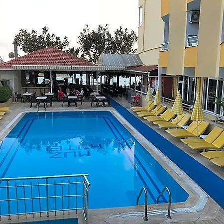 Muz Alanya