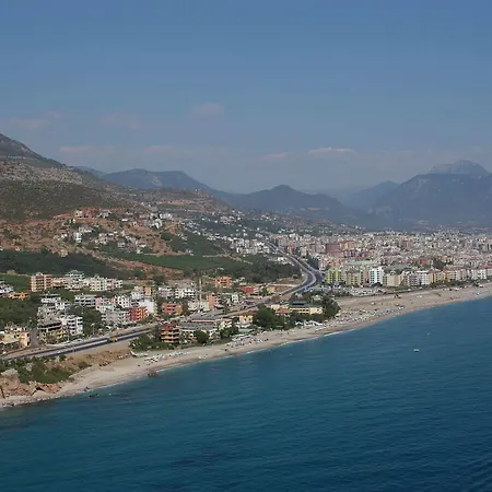 Muz Alanya