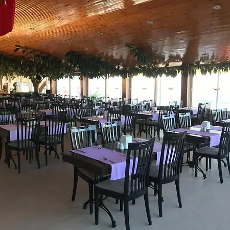 Ξενοδοχείο Muz 3*