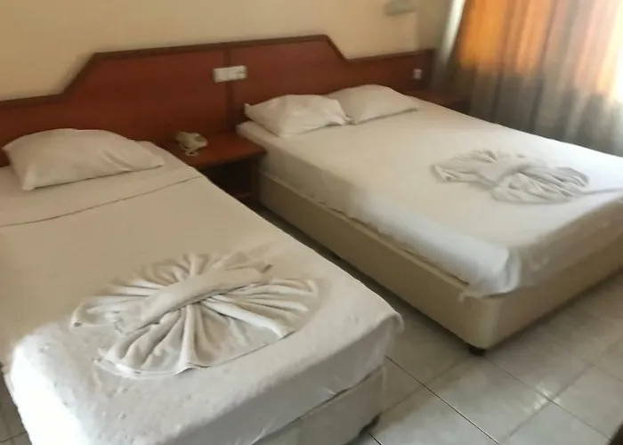 酒店 Muz 阿拉尼亚